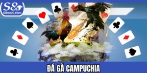 Đá Gà Campuchia