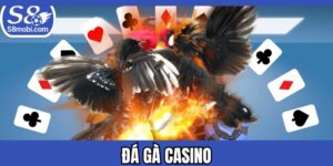 Đá Gà Casino