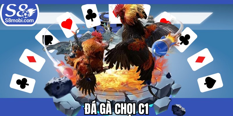 Đá Gà Chọi C1