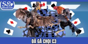 Đá Gà Chọi C3