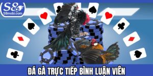 Đá Gà Trực Tiếp Bình Luận Viên