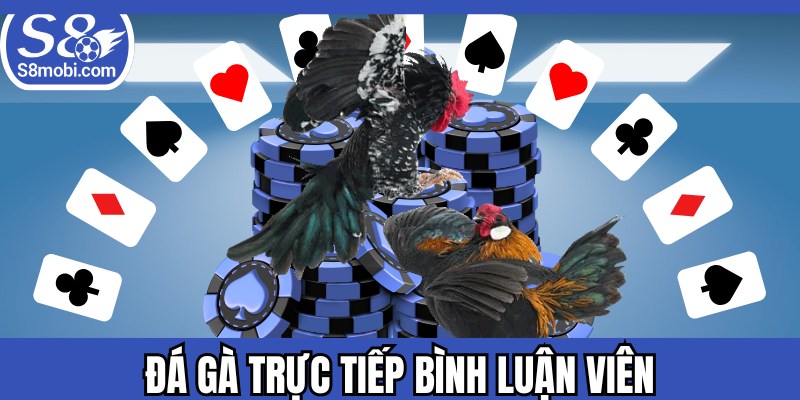 Đá Gà Trực Tiếp Bình Luận Viên